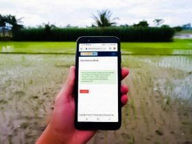 Cara Cek Penerima BLT UMKM Rp 2,4 Juta
