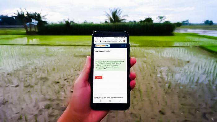 Cara Cek Penerima BLT UMKM Rp 2,4 Juta