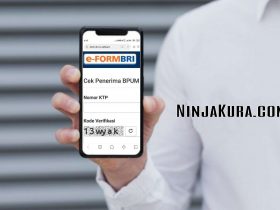 Penerima BLT UMKM/ Cek e-KTP Terdaftar