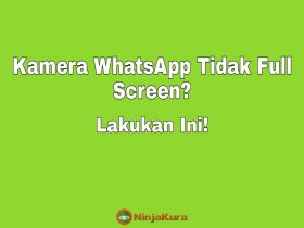 Cara Mengatasi Kamera WhatsApp yang Tidak Full Screen