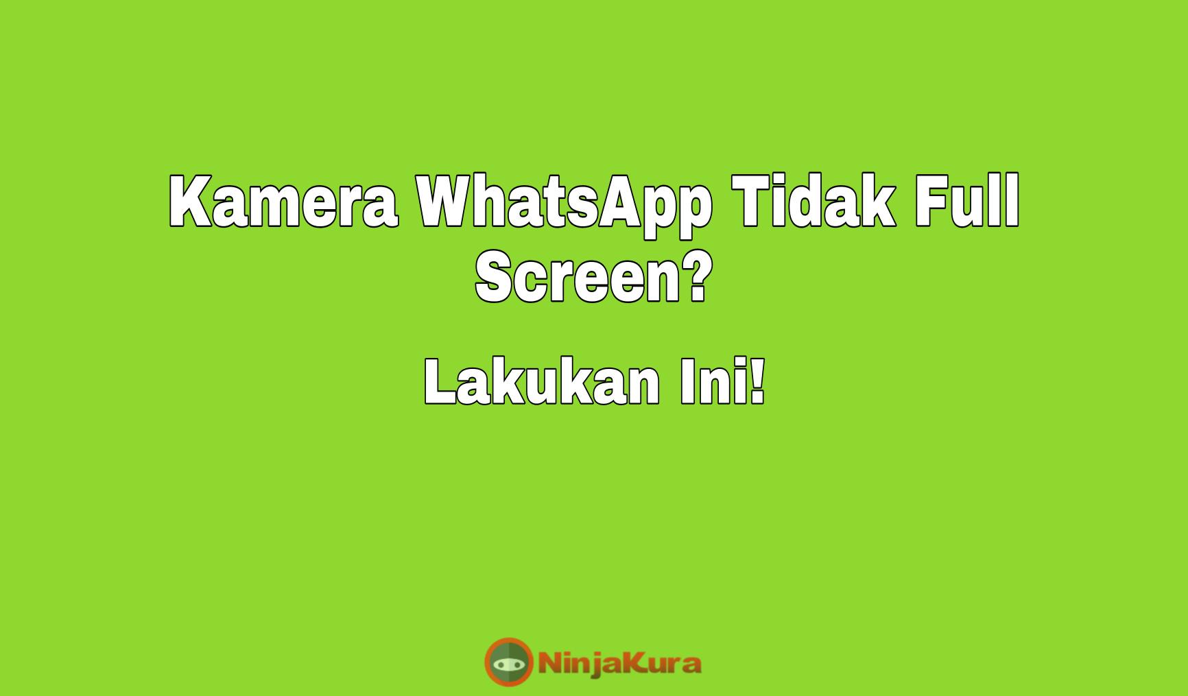 Cara Mengatasi Kamera WhatsApp yang Tidak Full Screen