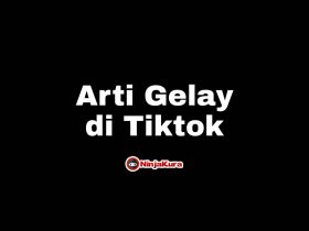 Arti Gelay di Tiktok