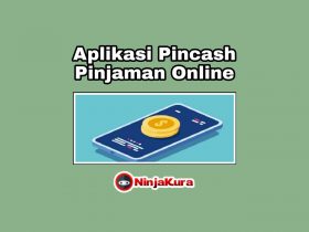 Apk Pincash Download Pinjaman Uang Online