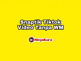 SnapTik Tiktok - Download Video Tanpa Watermark
