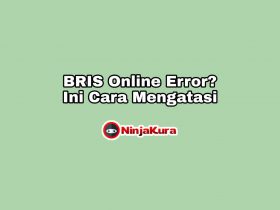 Cara Mengatasi BRIS Online Error