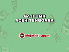 Gaji UMR Aceh Tenggara