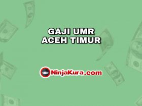 Gaji UMR Aceh Timur